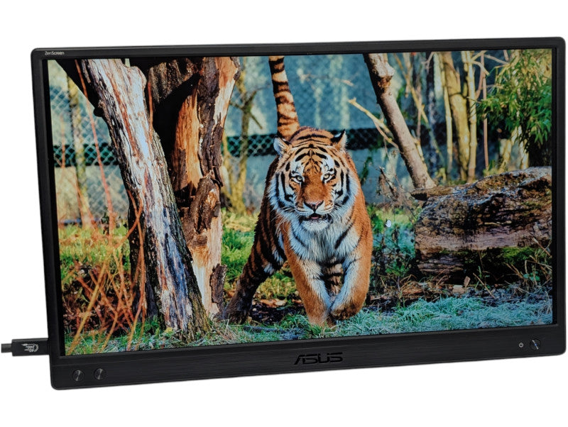 ASUS ZenScreen MB166C 15.6 in 1920 x 1080 Single USB-C DP Type Port  -
