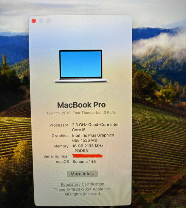 Apple MacBook Pro 13" 2018 i5-8259U 16GB 256SSD Battery Service Recommended