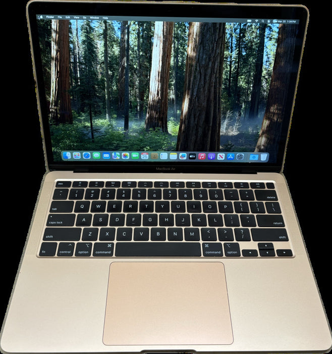 Apple MacBook Air 13 2020 Rose Gold i3-1000NG4 8GB 256SSD No Power Adapter
