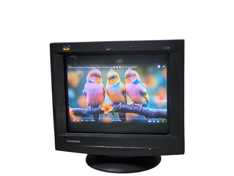 Viewsonic E70fb 17" SXGA Flat CRT Monitor Black, VCDTS22355-5M , READ Q_