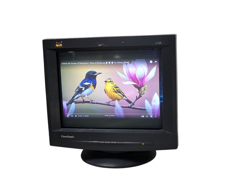 Viewsonic E70fb 17" SXGA Flat CRT Monitor Black, VCDTS22355-5M , READ Q_
