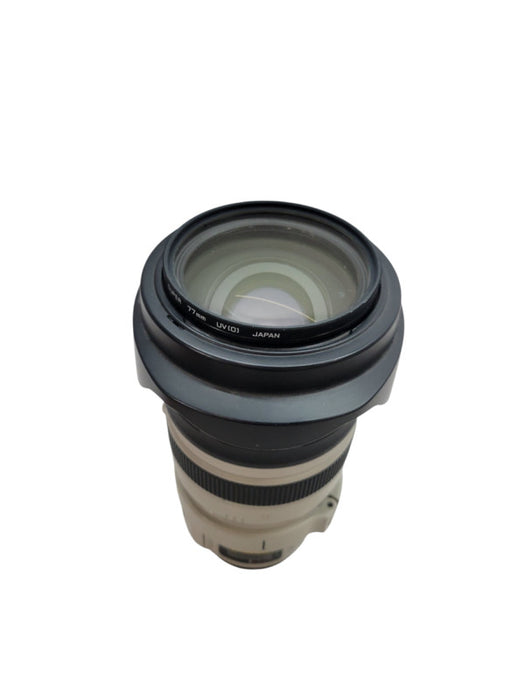 CANON ZOOM LENS EF 28-300MM 1:3.5-5-6 L IS USM (READ) %