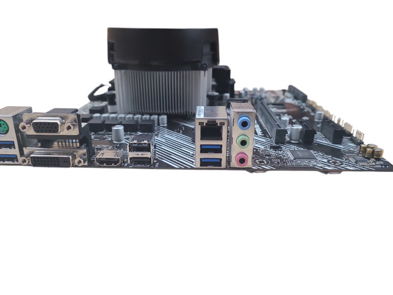 ASUS Prime A520M-A Motherboard | Ryzen 5 3600 | 16GB DDR4