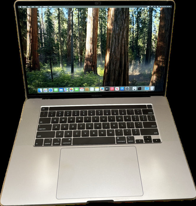 Apple MacBook Pro 16" 2019 i9-9880H Radeon Pro 5500 8GB GPU 32GB 1TB READ!