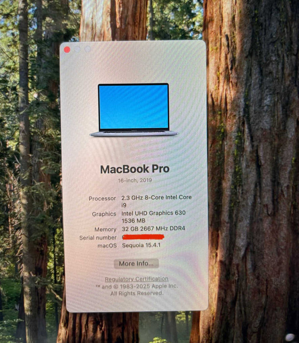 Apple MacBook Pro 16" 2019 i9-9880H Radeon Pro 5500 8GB GPU 32GB 1TB READ!