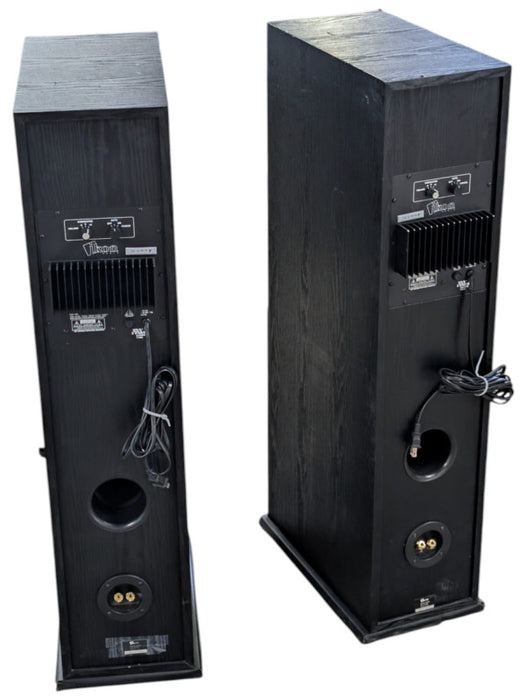 IKON CM6200L 2-Way 8ohm Tower Speakers with Built in Subwoofer  -
