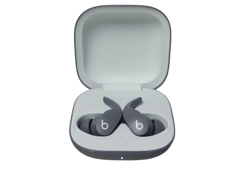 Beats Fit Pro True Wireless Earbuds _