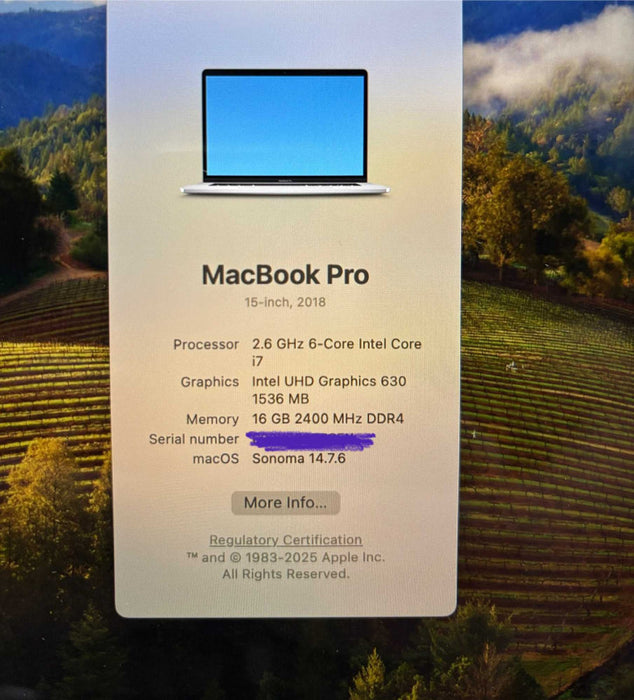 Apple MacBook Pro 15 2018 i7-8850H Radeon Pro 560X GPU 16GB RAM 512SSD READ