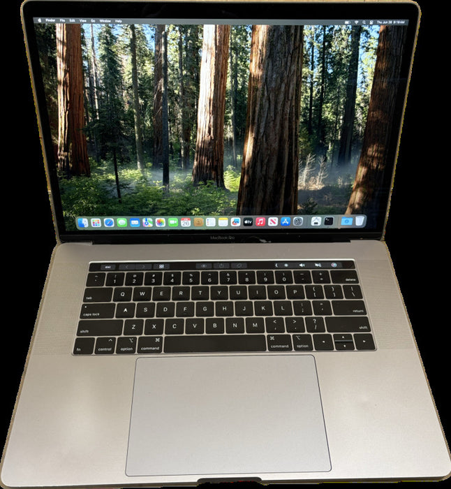 Apple MacBook Pro 15 2018 i7-8750H Radeon Pro X555 GPU 16GB RAM 256SSD READ