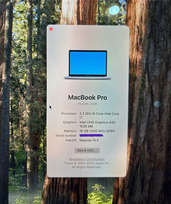 Apple MacBook Pro 15 2018 i7-8750H Radeon Pro X555 GPU 16GB RAM 256SSD READ