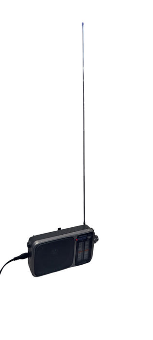 PANASONIC RF-2400D AM/FM AC/DC Portable Radio