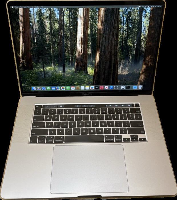 Apple MacBook Pro 16" 2019  i7-9750H Radeon Pro 5300M 16GB RAM 512SSD READ