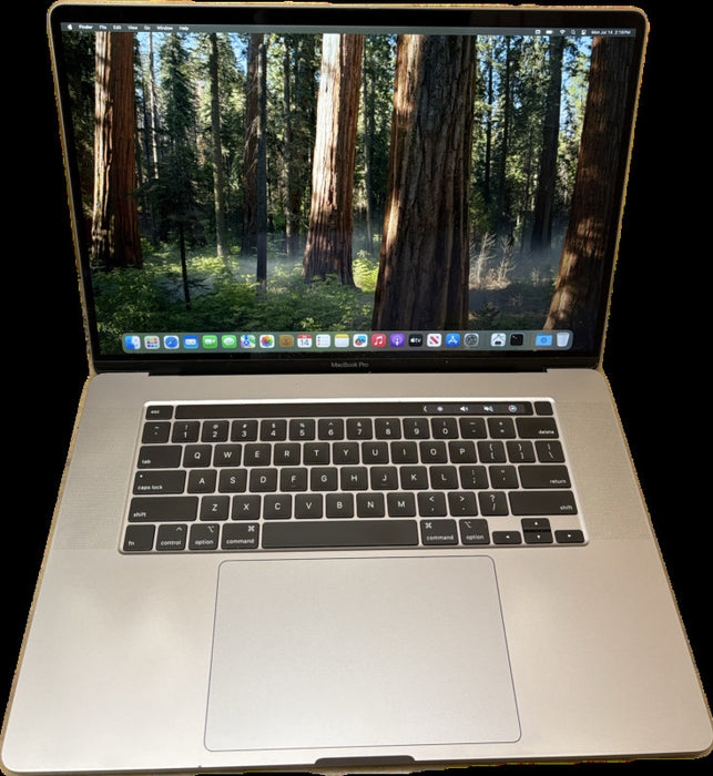 Apple MacBook Pro 16" 2019  i7-9750H Radeon Pro 5300M 32GB RAM 512SSD READ
