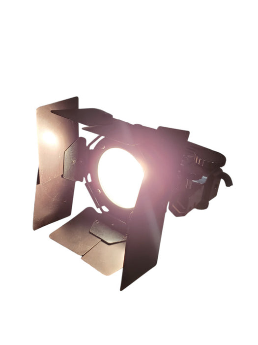 Lowel Pro-Light 4777566 w/ Power Cord & Barn Doors