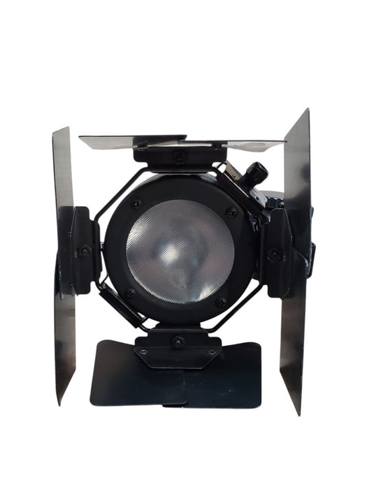 Lowel Pro-Light 4777566 w/ Power Cord & Barn Doors