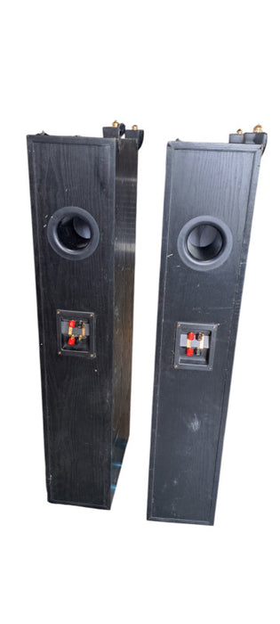 Soundstage Tower Speakers | READ
