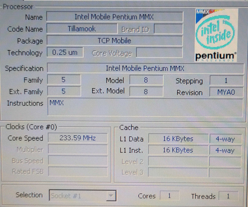Toshiba Satellite Pro 480CDT Pentium MMX 32MB RAM 4GB HDD w/ Accessories  β
