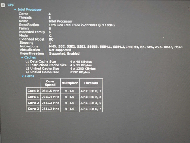 Dell  Vostro 14 5410 i5-11300H 16GB RAM 256GB NVMe β Lap200