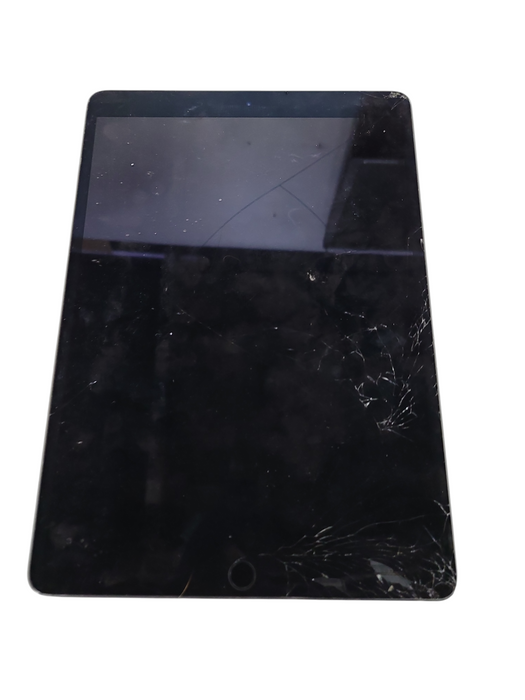 Apple iPad 3rd Gen 256GB (A2152) - READ Δ