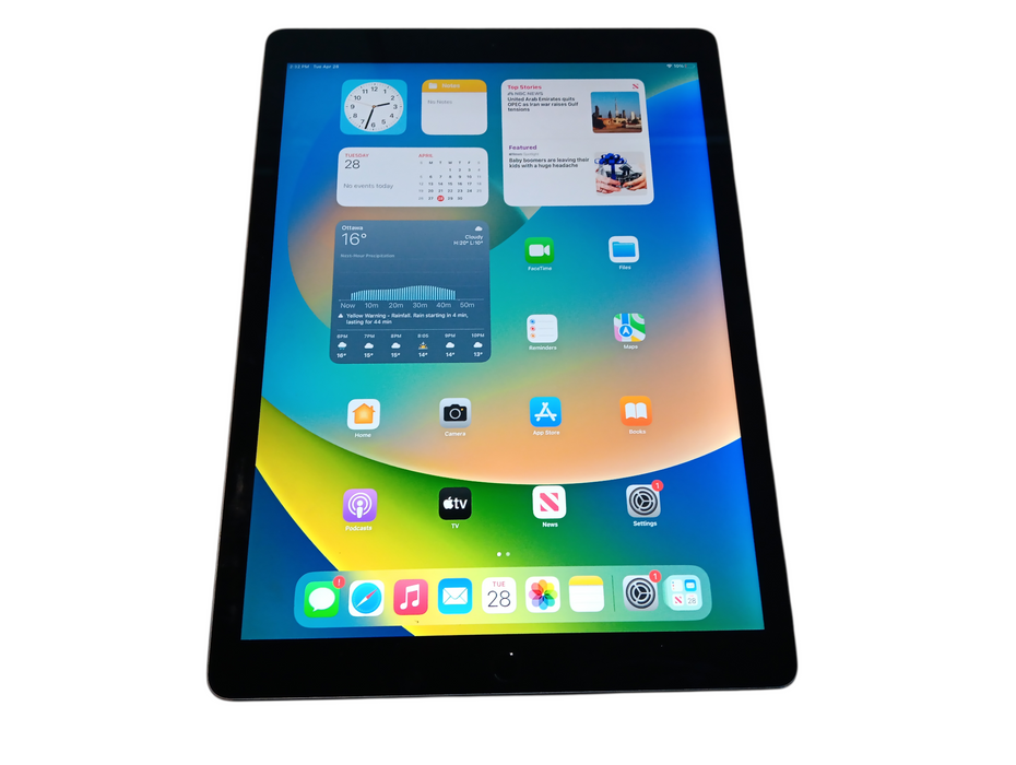 Apple iPad Pro 12.9-inch 1st Gen - Space Gray - 256GB [A1584]