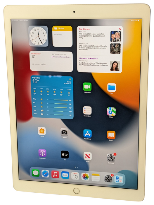 Apple iPad PRO 12.9 inch 2nd Gen 512GB UNLOCKED  -