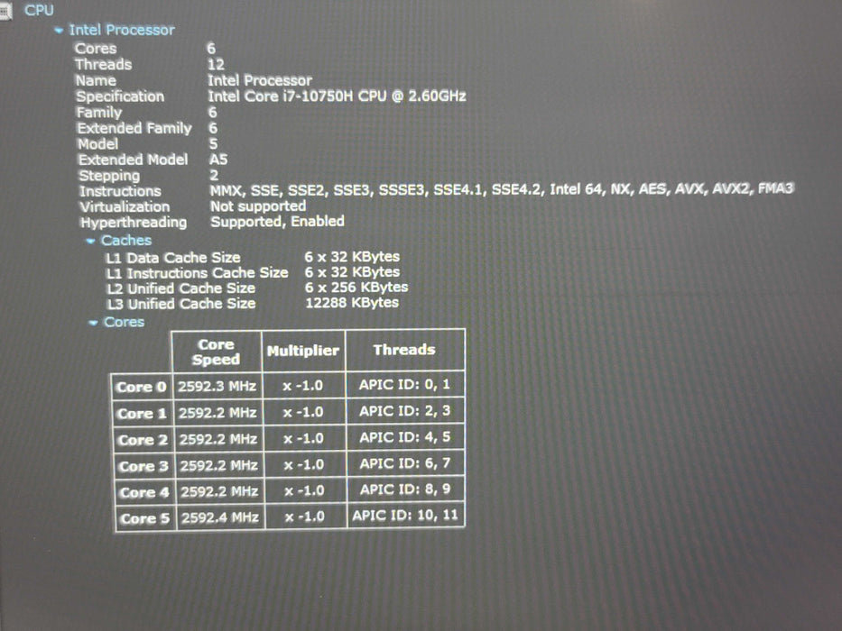 MSI GF65 Thin i7-10750H 16GB DDR4 RTX 3060 256GB NVME READ  β Lap200