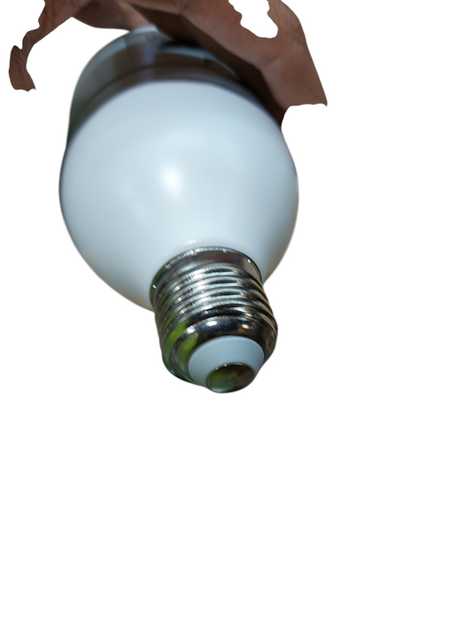 2-pack of RAKEBLUE 1080P Wireless Light Bulb Security Cameras