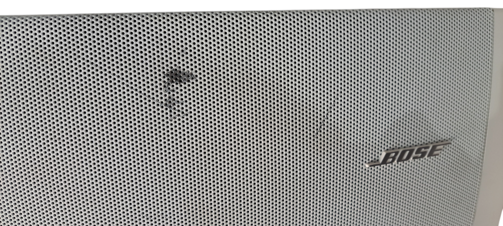 Bose DS 100SE FreeSpace Outdoor Loudspeaker