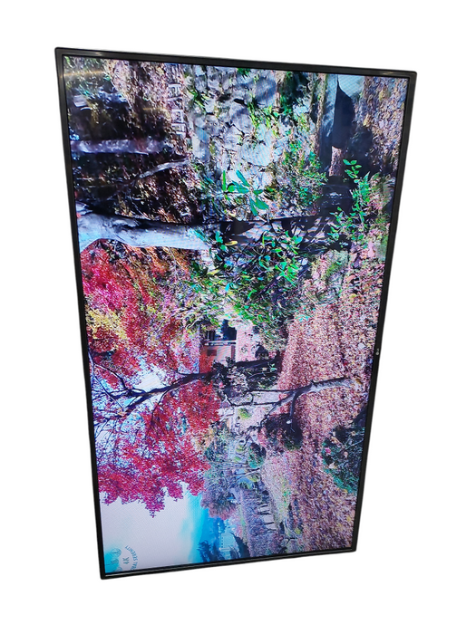 LG 55" TV Model: 55LW340C =