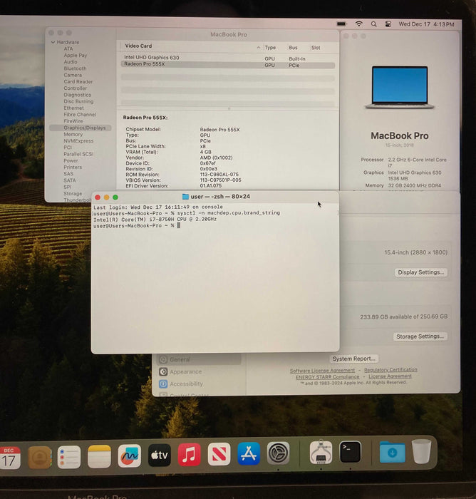 Apple MacBook Pro 15' 2018 i7-8750H 32GB RAM 256SSD Radeon Pro 555X READ