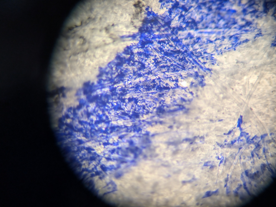 LEICA DM2000 Stereo Microscope 100x Magnification with EC3 PLEASE READ  -