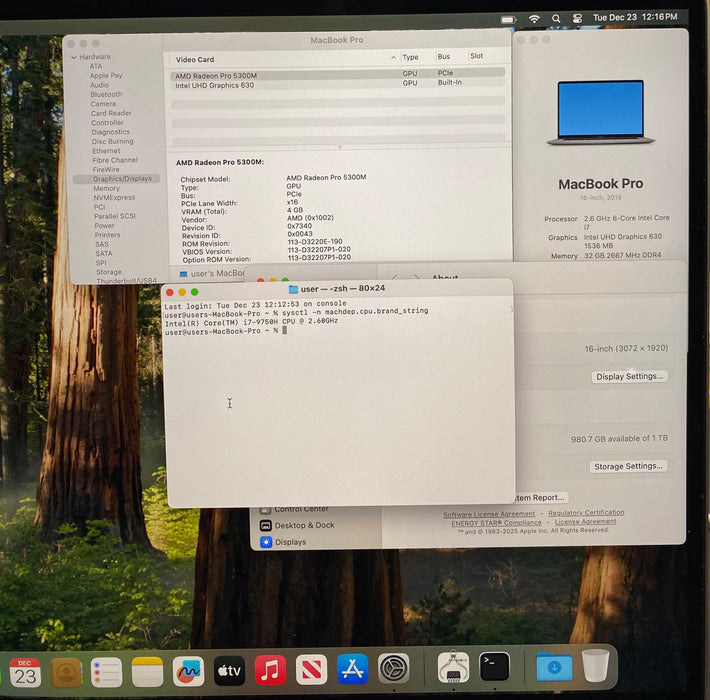 Apple MacBook Pro 16" 2019 i7-9750H 32GB RAM 1TBSSD Radeon Pro 5300M READ!