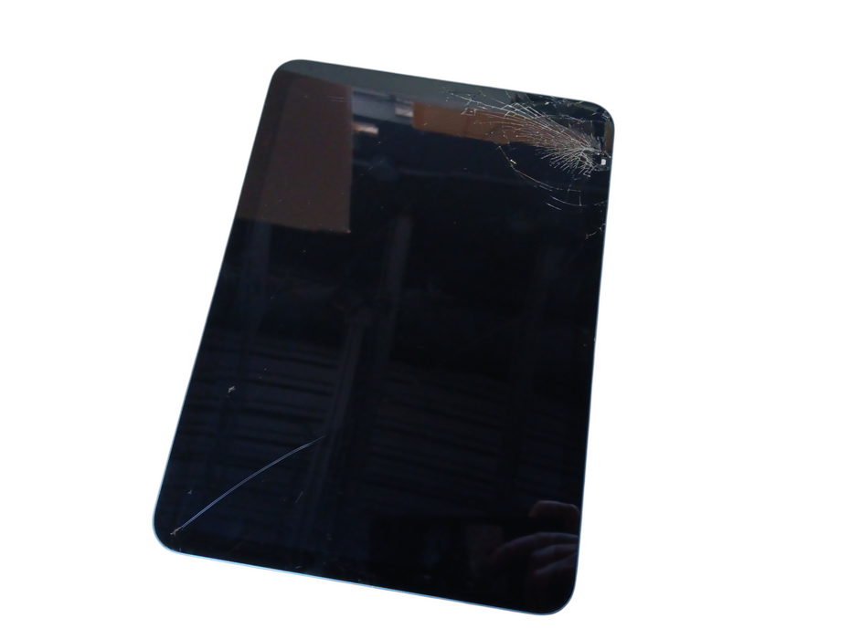 Apple iPad 10th Gen - Blue - 64GB [A2696] Read