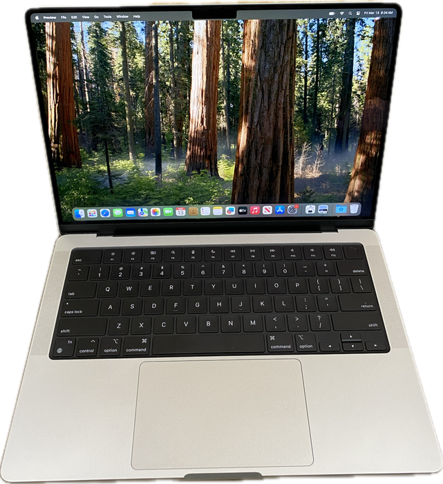 Apple MacBook Pro 14" M4 2024 Silver 16GB RAM 512GB SSD No Power Adapter