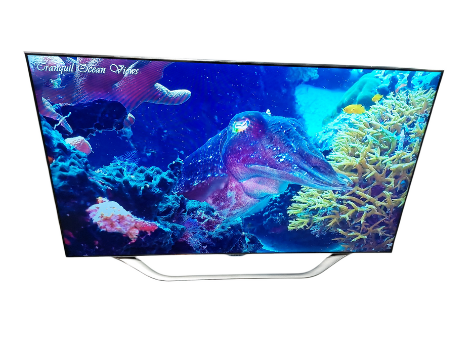 Samsung 55" TV Model: UN55ES8000F  Mfg: 2012 =