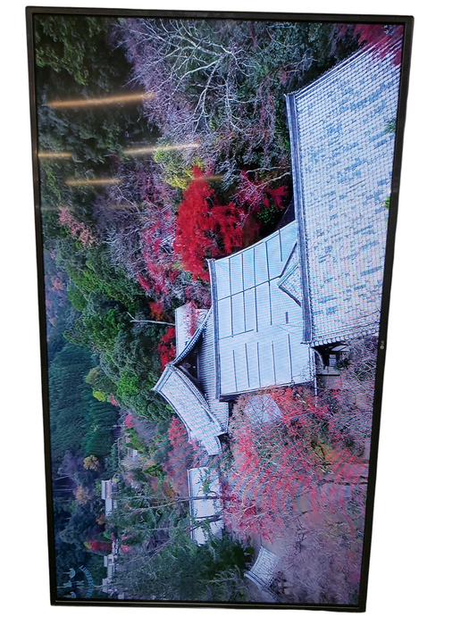 LG 55" TV Model: 55LW340C =