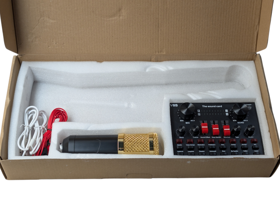 Professional Broadcasting & Recording Microphone Setup  -