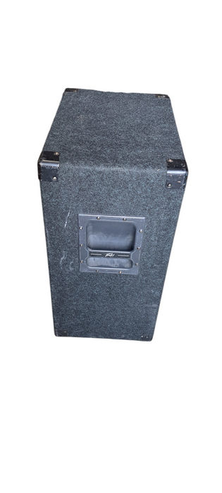Peavey DS 1502 Two-Way Full-Range Enclosure