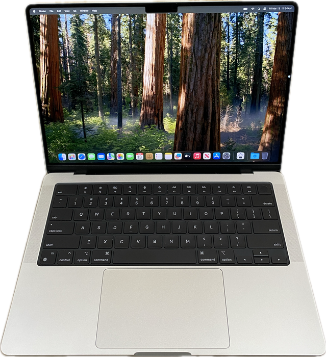 Apple MacBook Pro 14' M4 2024 Silver 16 GB RAM 512GB SSD No Power Adapter