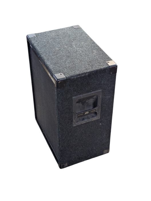 Peavey DS 1502 Two-Way Professional DJ Enclosure Speaker  -
