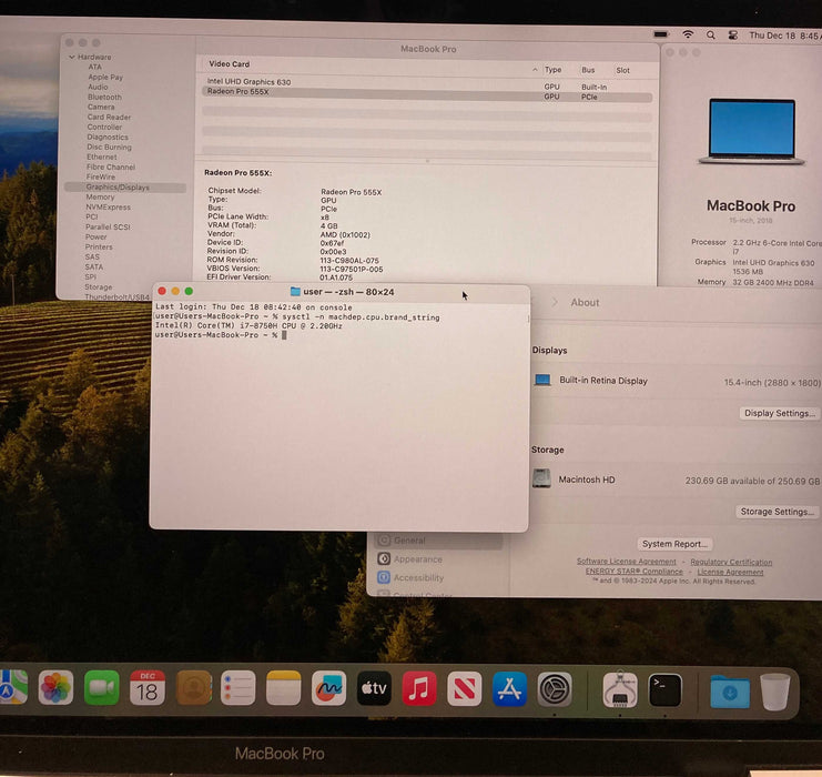 Apple MacBook Pro 15' 2018 i7-8750H 32GB RAM 256SSD Radeon Pro 555X READ