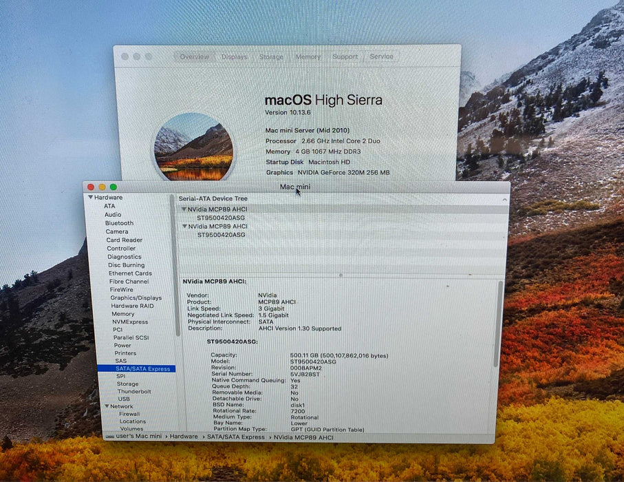 Apple Mac Mini server Mid 2010 C2D P8800 GeForce 320M 4GB RAM 2x500GB HDD
