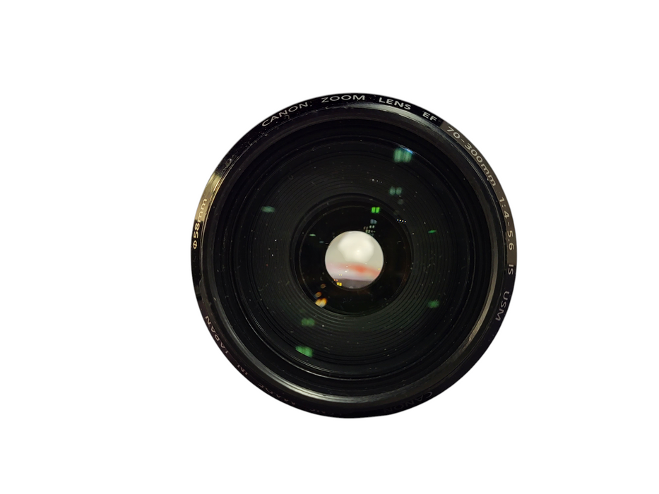 Canon EF 70-300mm f/4-5.6 IS USM $