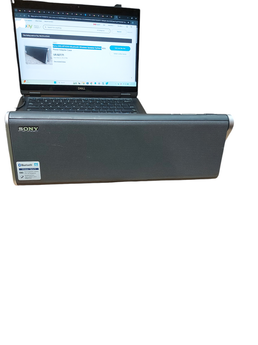 Sony SRS-BTX300 Bluetooth Wireless Speaker System