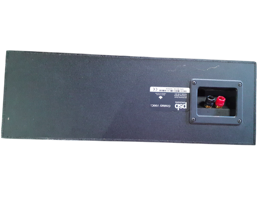 PBS Speaker Century 100Ci