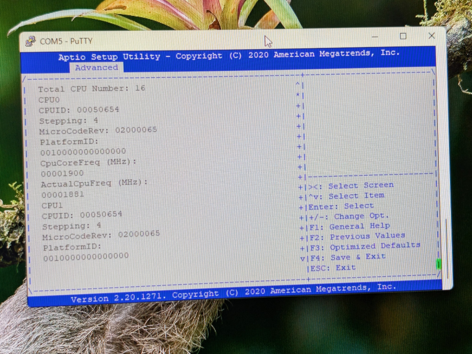 DELL EMC VEP4600 Xeon D-2145 8GB RAM 256GB SSD  -