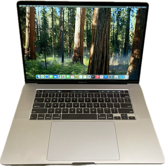 Apple MacBook Pro 16in 2019 i9-9880H Radeon PRO 5500 16GB RAM 1TB SSD READ