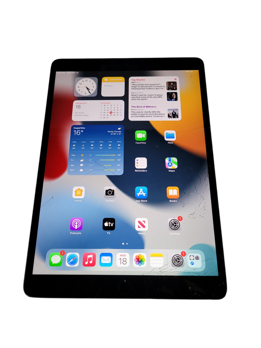 Apple iPad 3rd Gen 256GB (A2152) - READ Δ