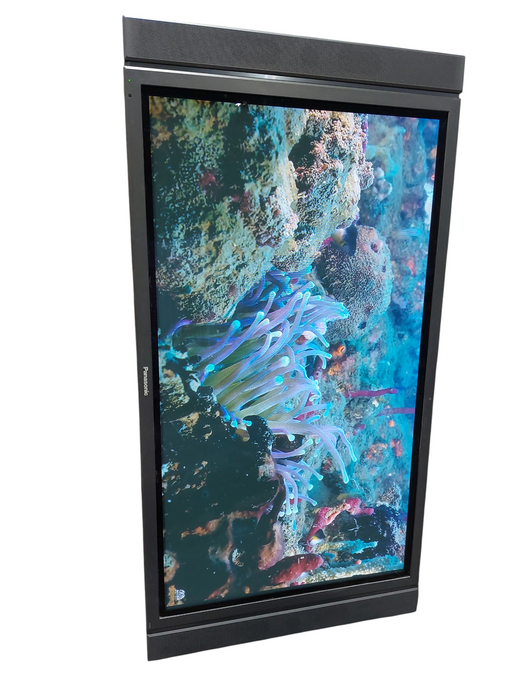 Panasonic High Definition PlasmaDisplay 65" Model: TH-65PF30U &TY-SP65P11WK Q=