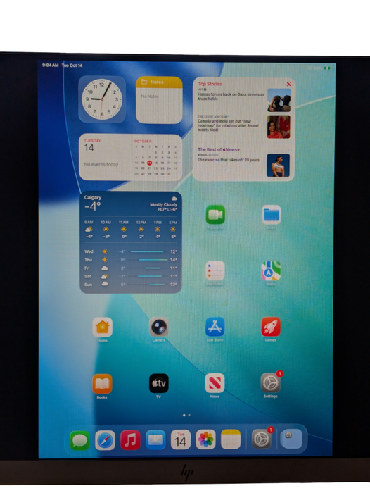 Apple iPad PRO 12.9 inch 3rd Generation 256GB A1876 UNLOCKED Please READ  -